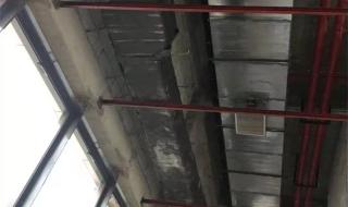 想吹风想自由 想吹风想自由